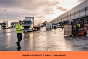 Logistics and transport management with trucks, warehouse loading, forklift, and delivery operations
